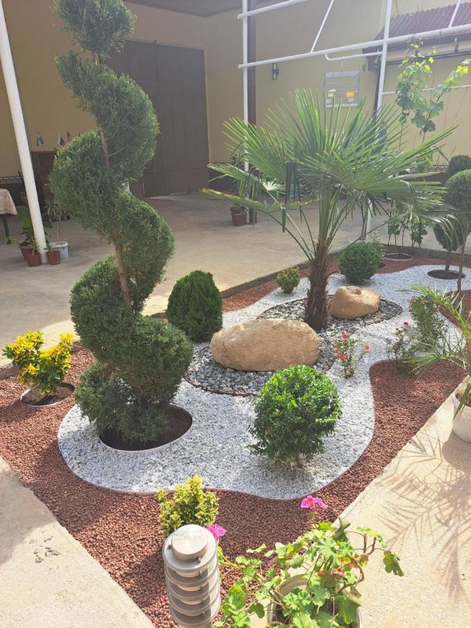 Royal Lux Guest House Samarkand Luaran gambar
